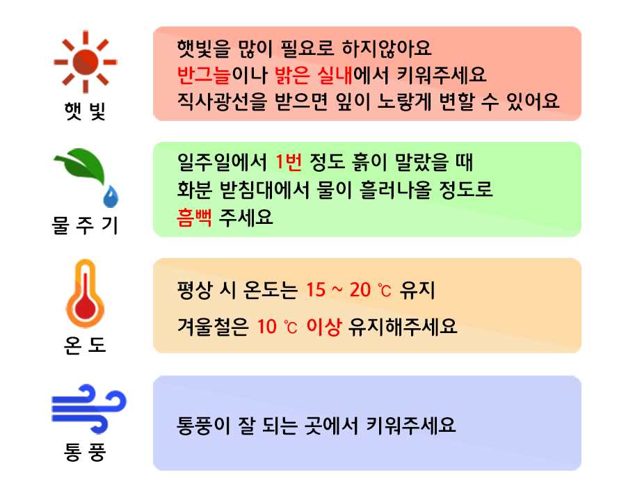 b84f7eb04b4b928df6f0dcb72808dc2f_1591058989_9938.png