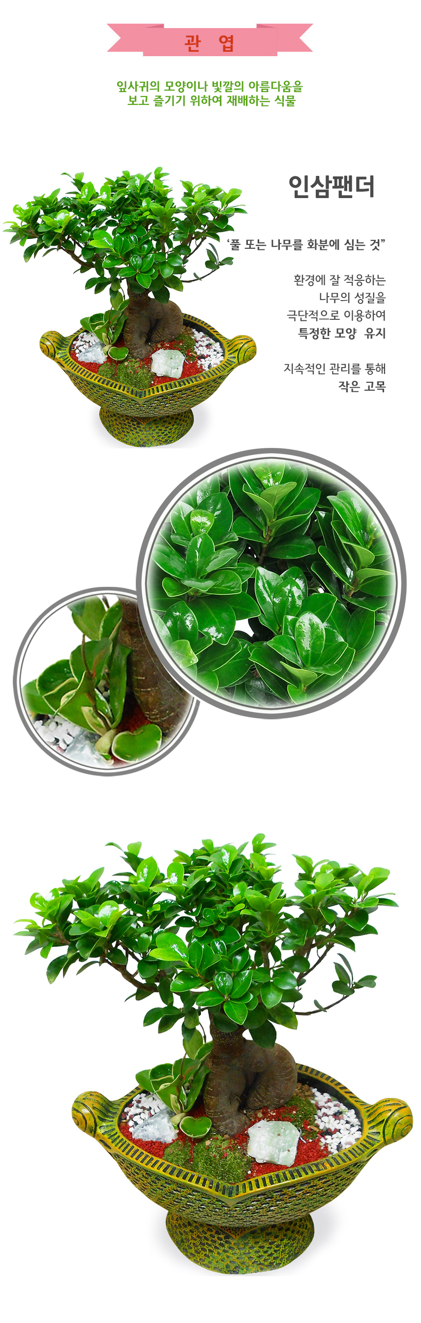 100 2f280-1000_상.jpg bfdb1ef28e65250e01ebc7c3f518abdf_1550036447_3413.jpg