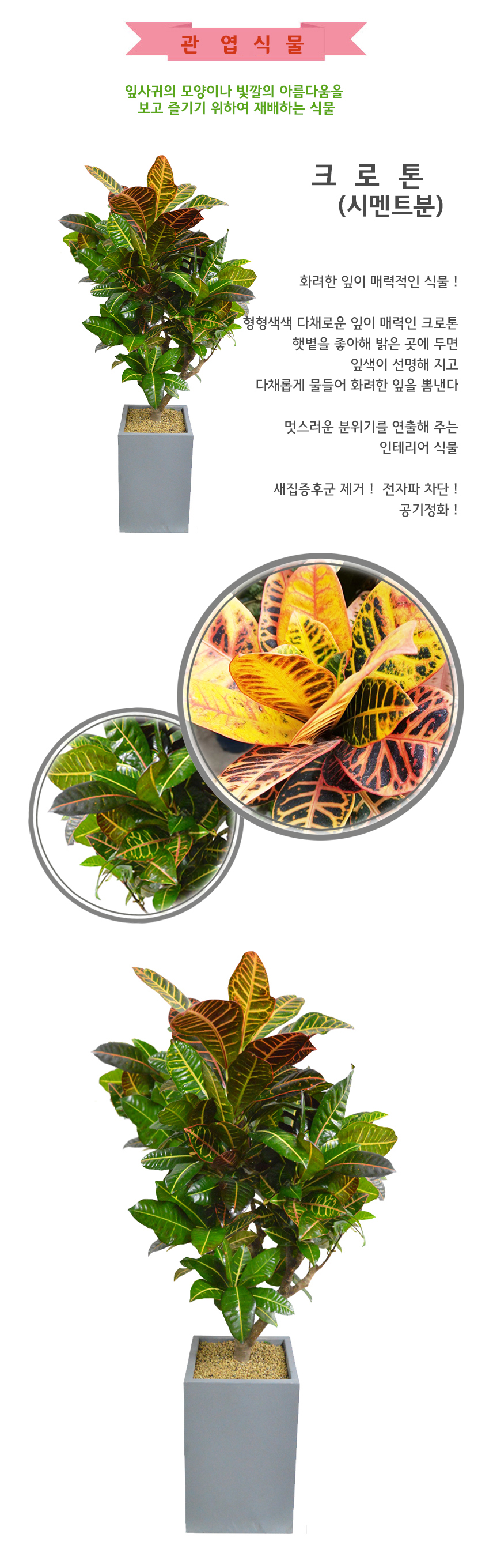 100 2f302-1000_상.jpg bfdb1ef28e65250e01ebc7c3f518abdf_1550036494_4565.jpg