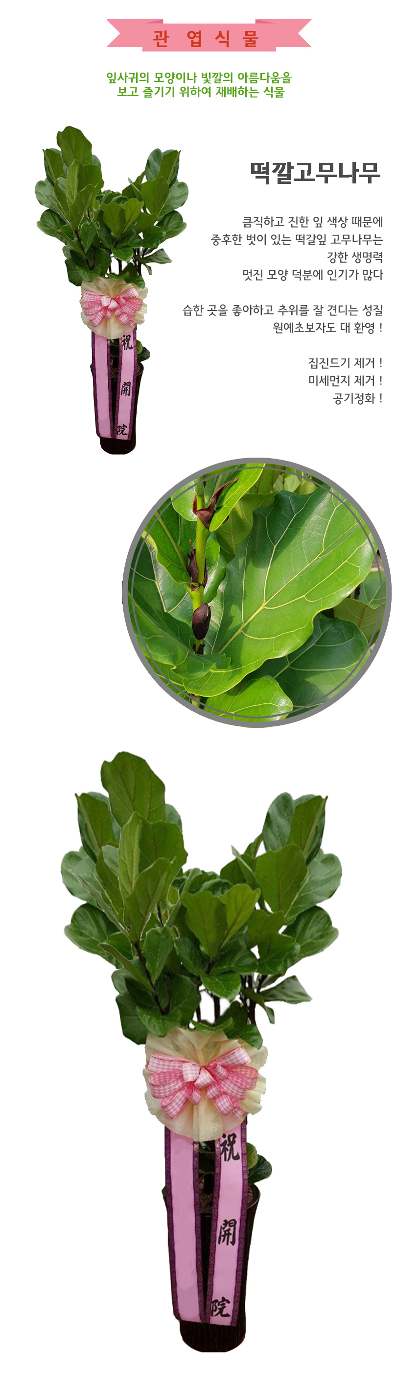 떡깔_상.jpg bfdb1ef28e65250e01ebc7c3f518abdf_1550036709_9225.jpg