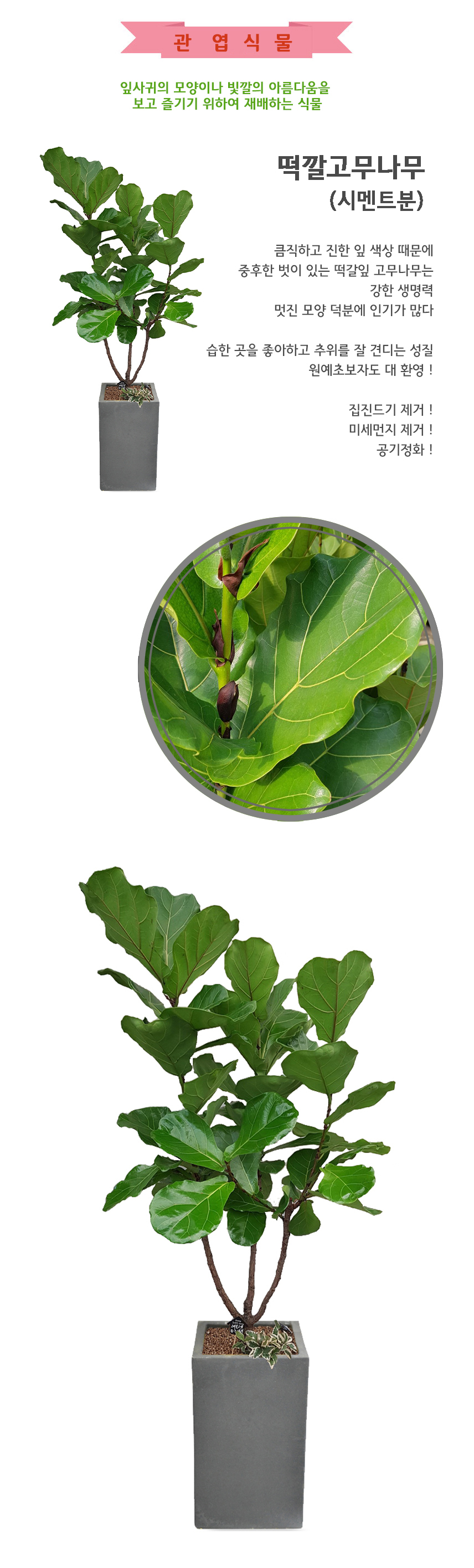 떡깔(사각시멘트)_131000_상.jpg bfdb1ef28e65250e01ebc7c3f518abdf_1550036762_3695.jpg