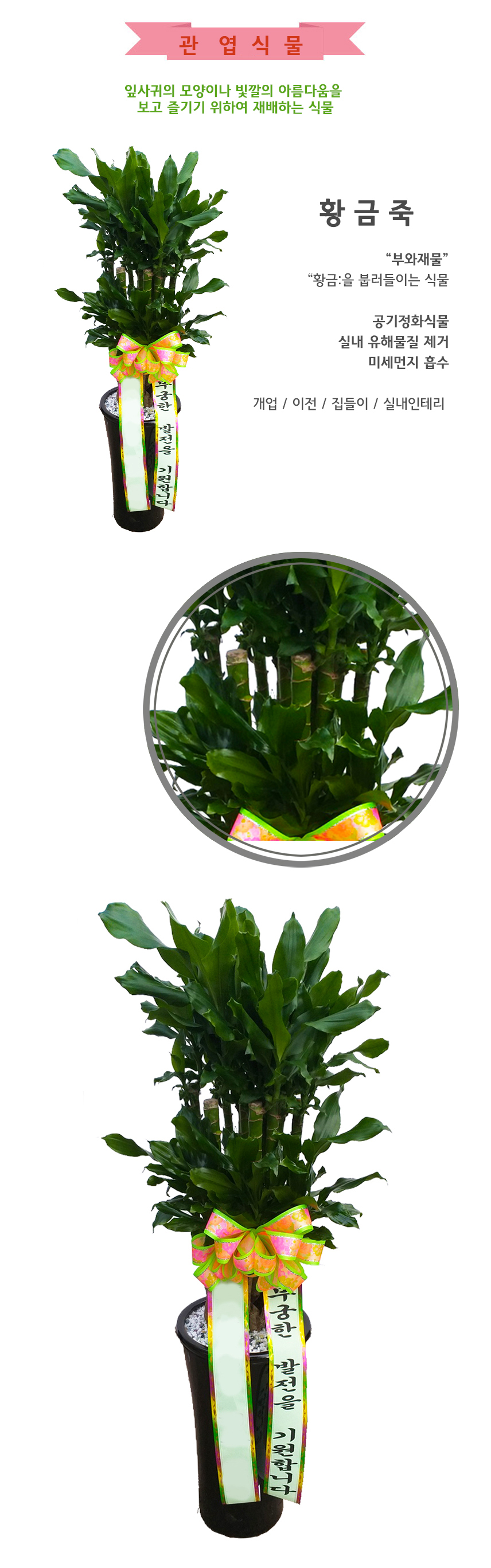 황금죽_109000_상.jpg bfdb1ef28e65250e01ebc7c3f518abdf_1550036831_2339.jpg