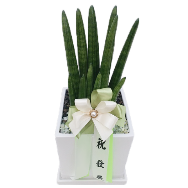 상품 상세 이미지 1