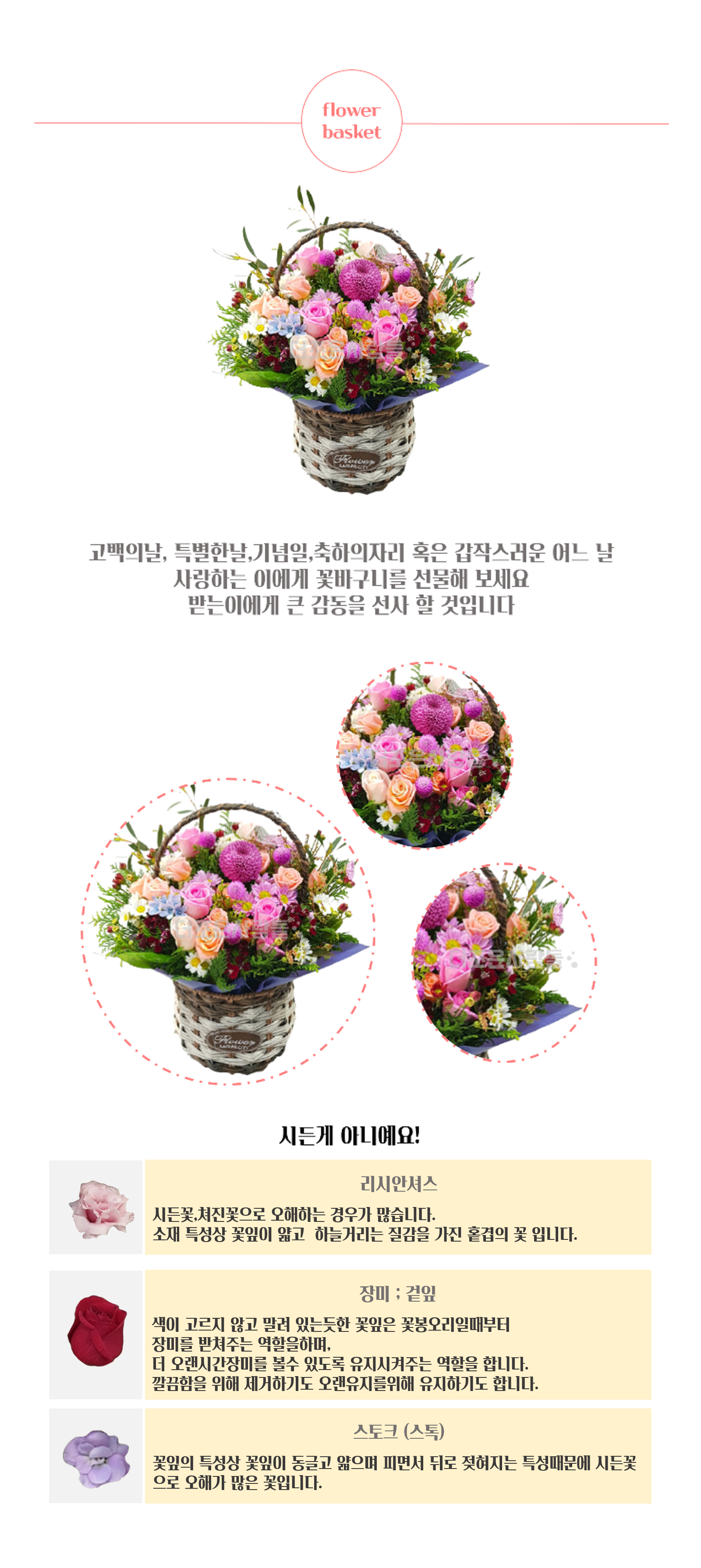 그림26.png 0b90a0be54db83cec63fa32dfc5751ee_1612153158_6232.png