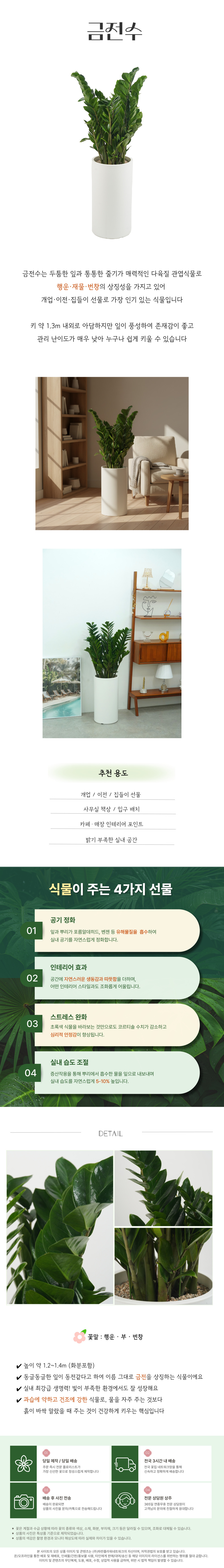 PL_004-금전수-001.jpg 7b566e3d5b028e6242701d19211a1251_1764309078_3651.jpg