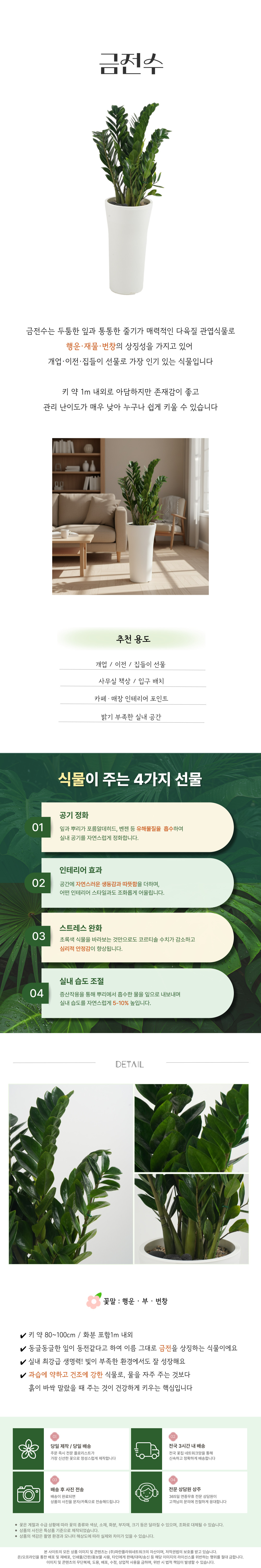 PL_001-금전수.jpg de856c2cdeb3b1b14d59e02d2ad22ecf_1764305808_9976.jpg