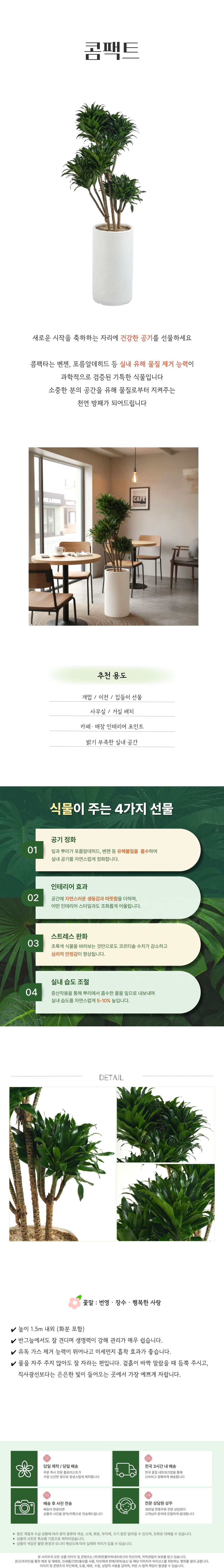 PL_021.png 601bbec9fb6410b5b6aee1784608e993_1771830196_7102.png