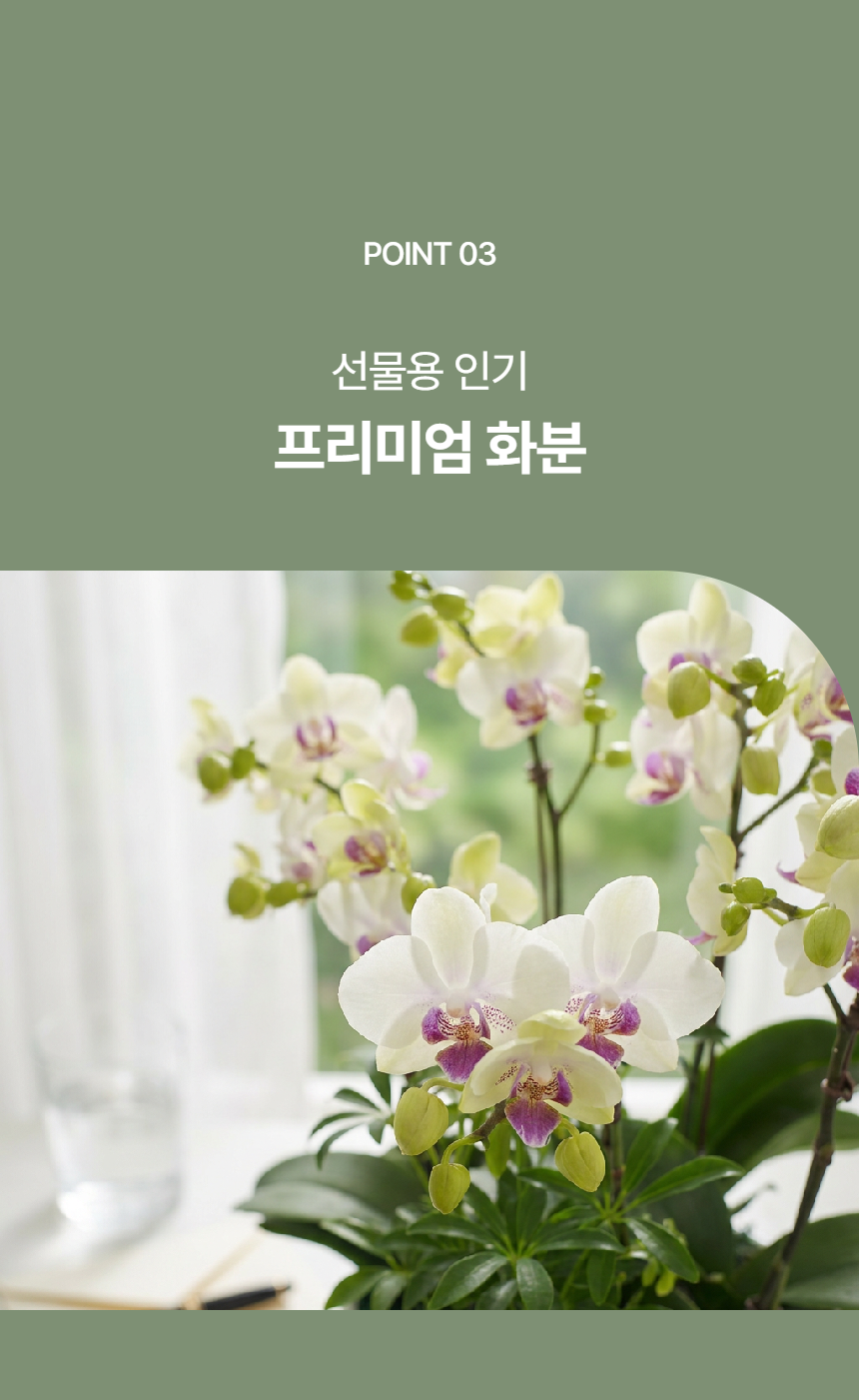 page_8.png 01df9bbb9133437b3888f775fdb657c4_1779933399_8225.png