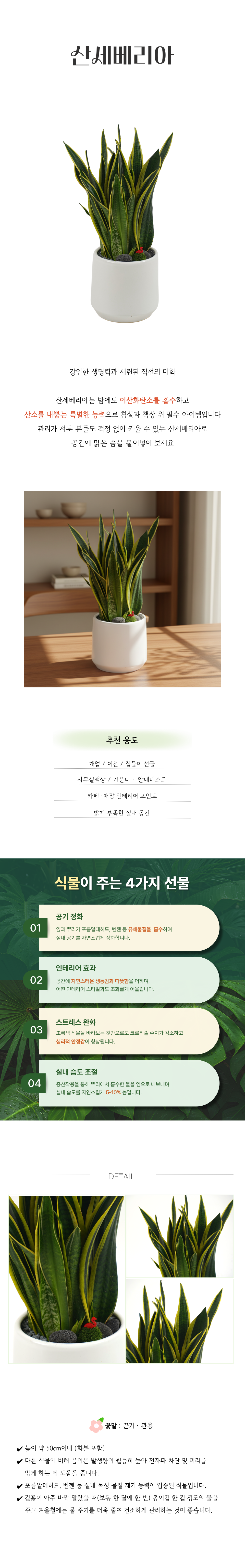 PS_006-산세베리아-26_03_01-001.png