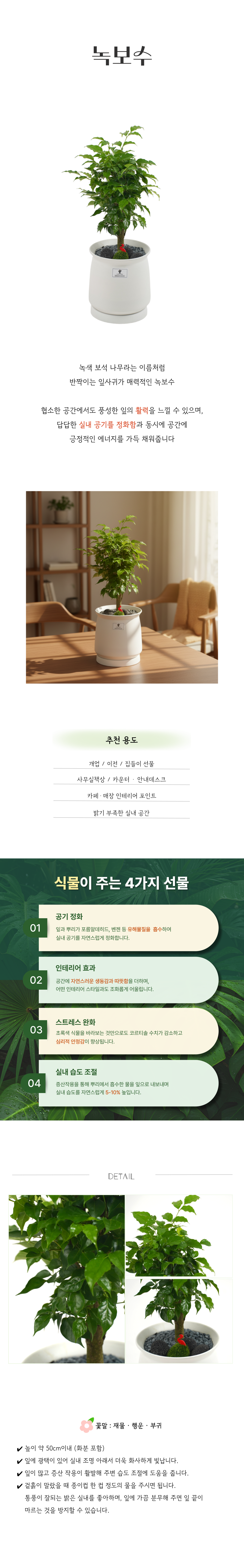 PS_003-녹보수-26_03_01-001.png