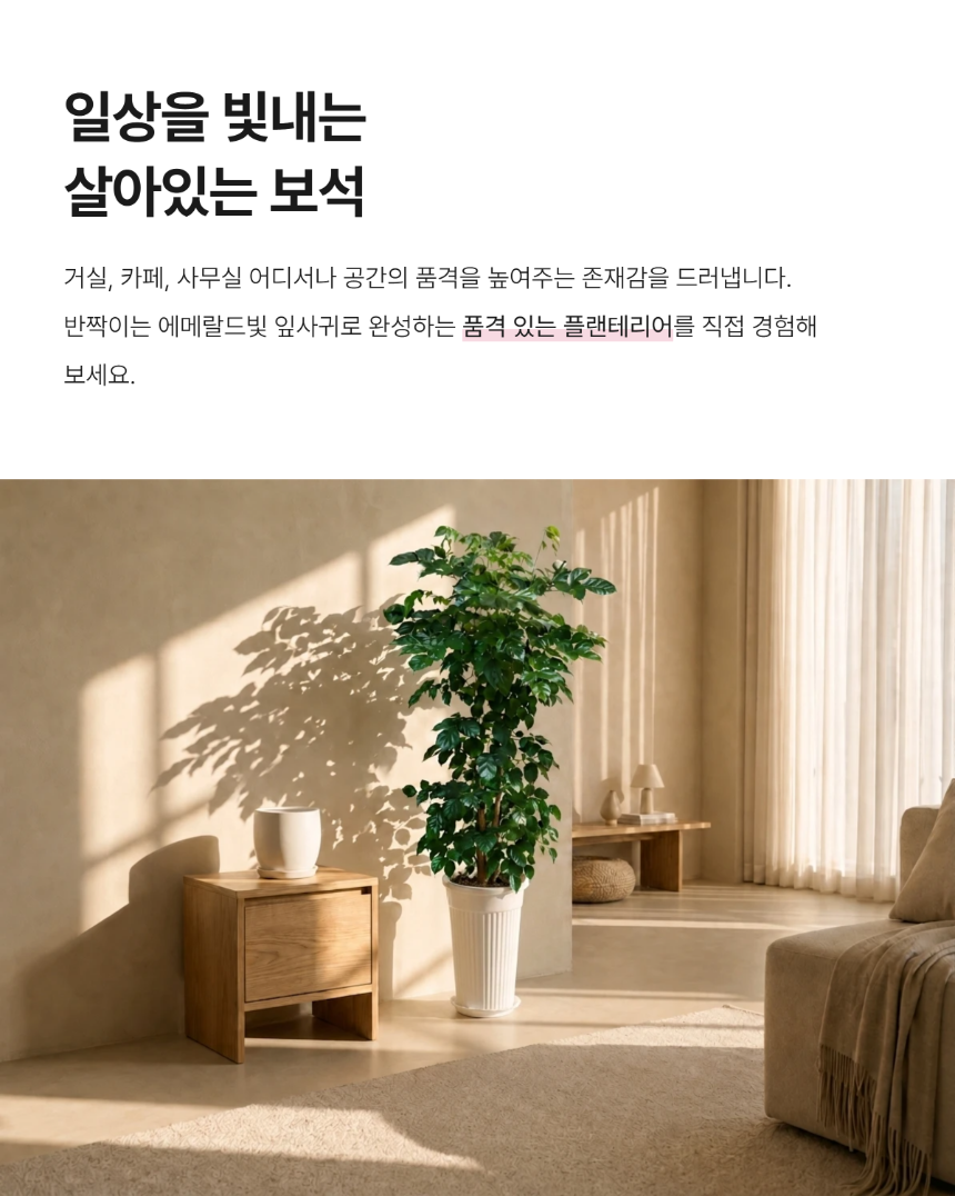 section-02.png 7a079d82c4e723b0dd96b9027a45227c_1784634464_7845.png