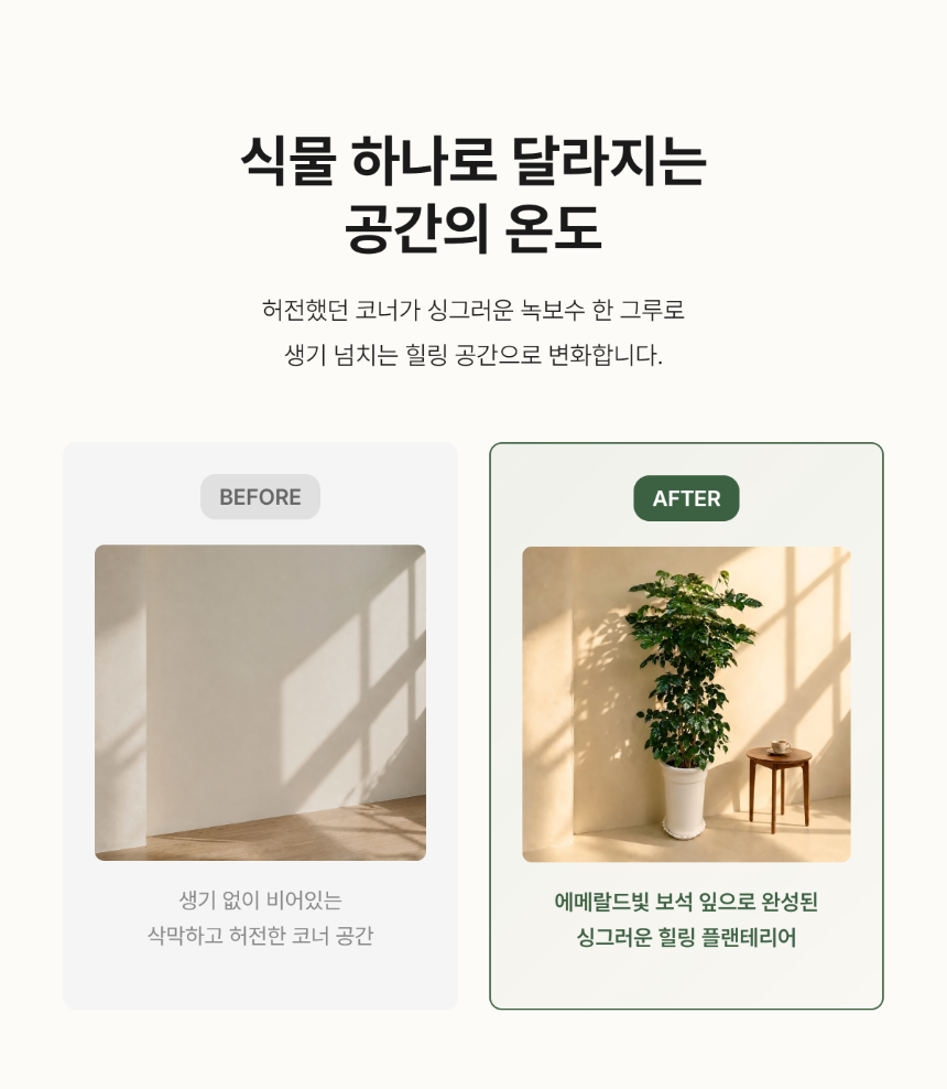 section-05.png 7a079d82c4e723b0dd96b9027a45227c_1784634495_6674.png