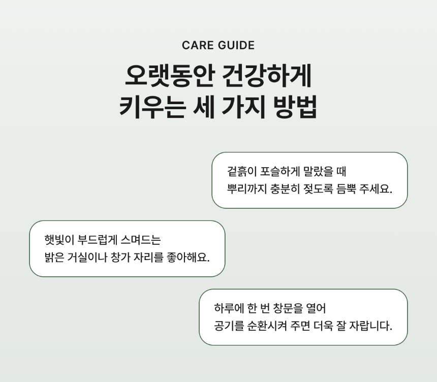 section-06.png 7a079d82c4e723b0dd96b9027a45227c_1784634509_1331.png