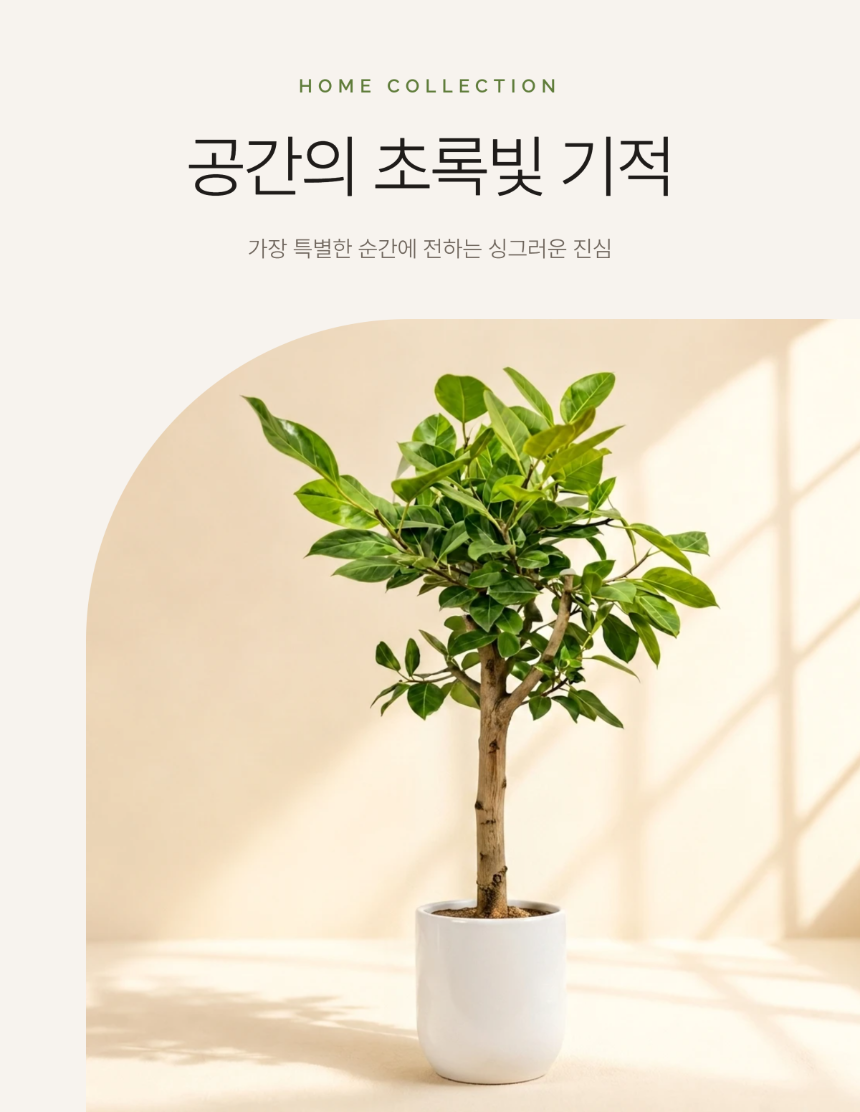 section-01.png dd43b62a8c44902a09d68ec80453147b_1784622266_3079.png