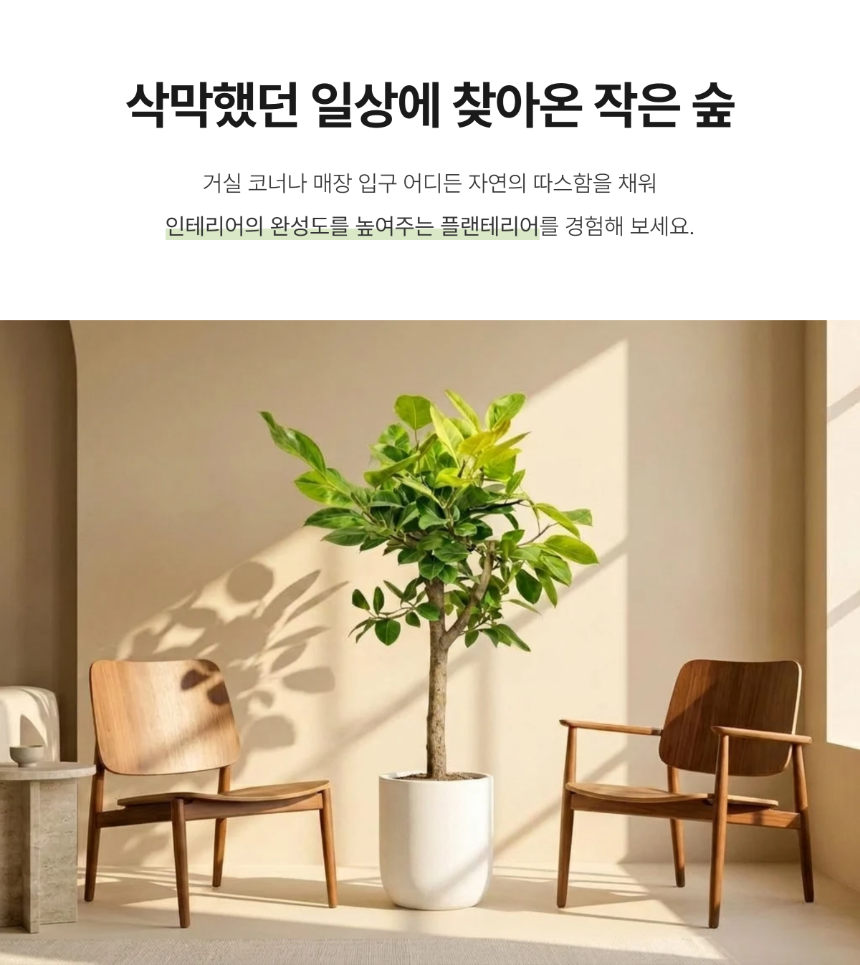 section-02.png dd43b62a8c44902a09d68ec80453147b_1784622274_6376.png