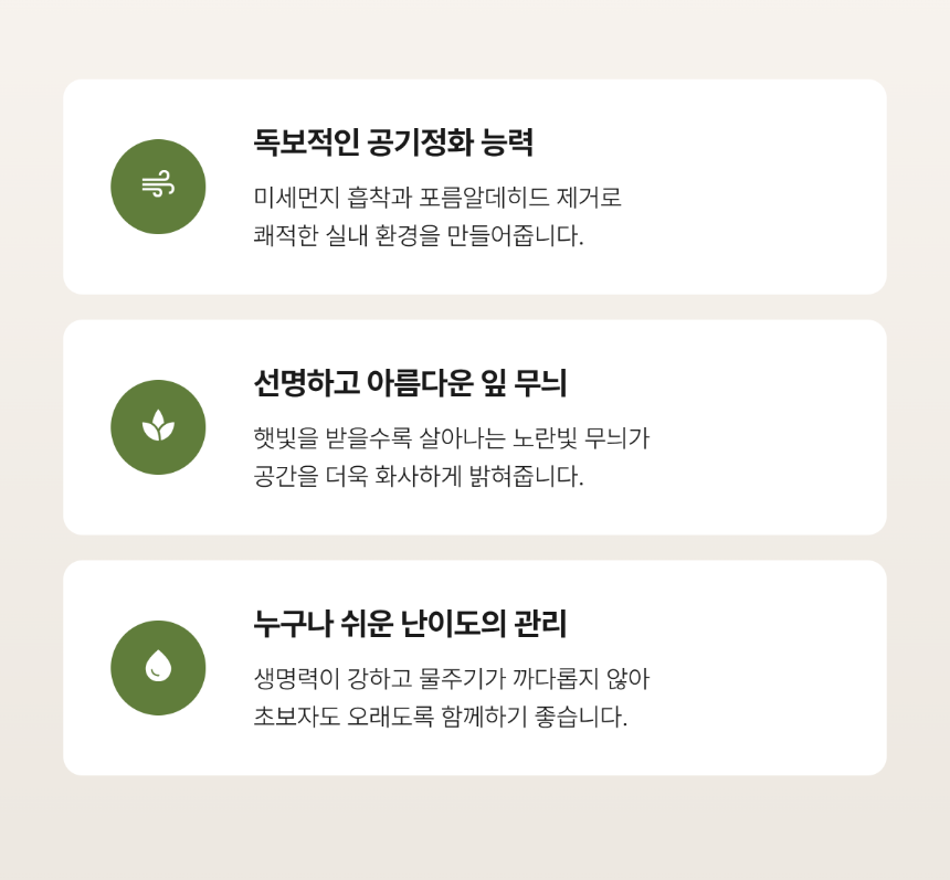 section-04.png dd43b62a8c44902a09d68ec80453147b_1784622300_4858.png