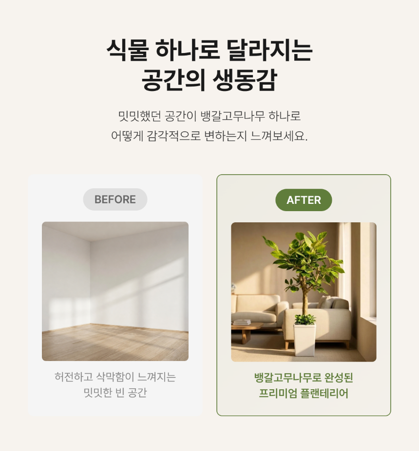 section-05.png dd43b62a8c44902a09d68ec80453147b_1784622308_2385.png