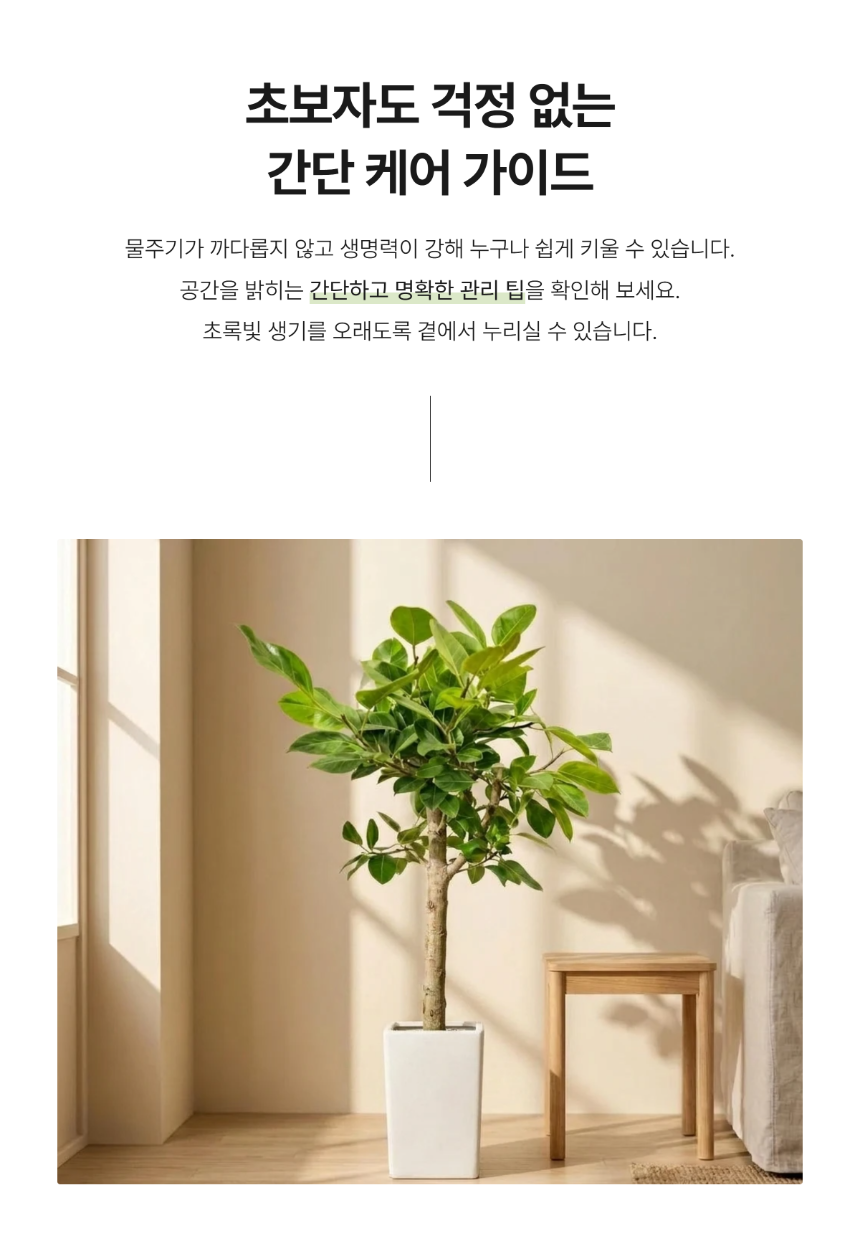 section-06.png dd43b62a8c44902a09d68ec80453147b_1784622316_165.png