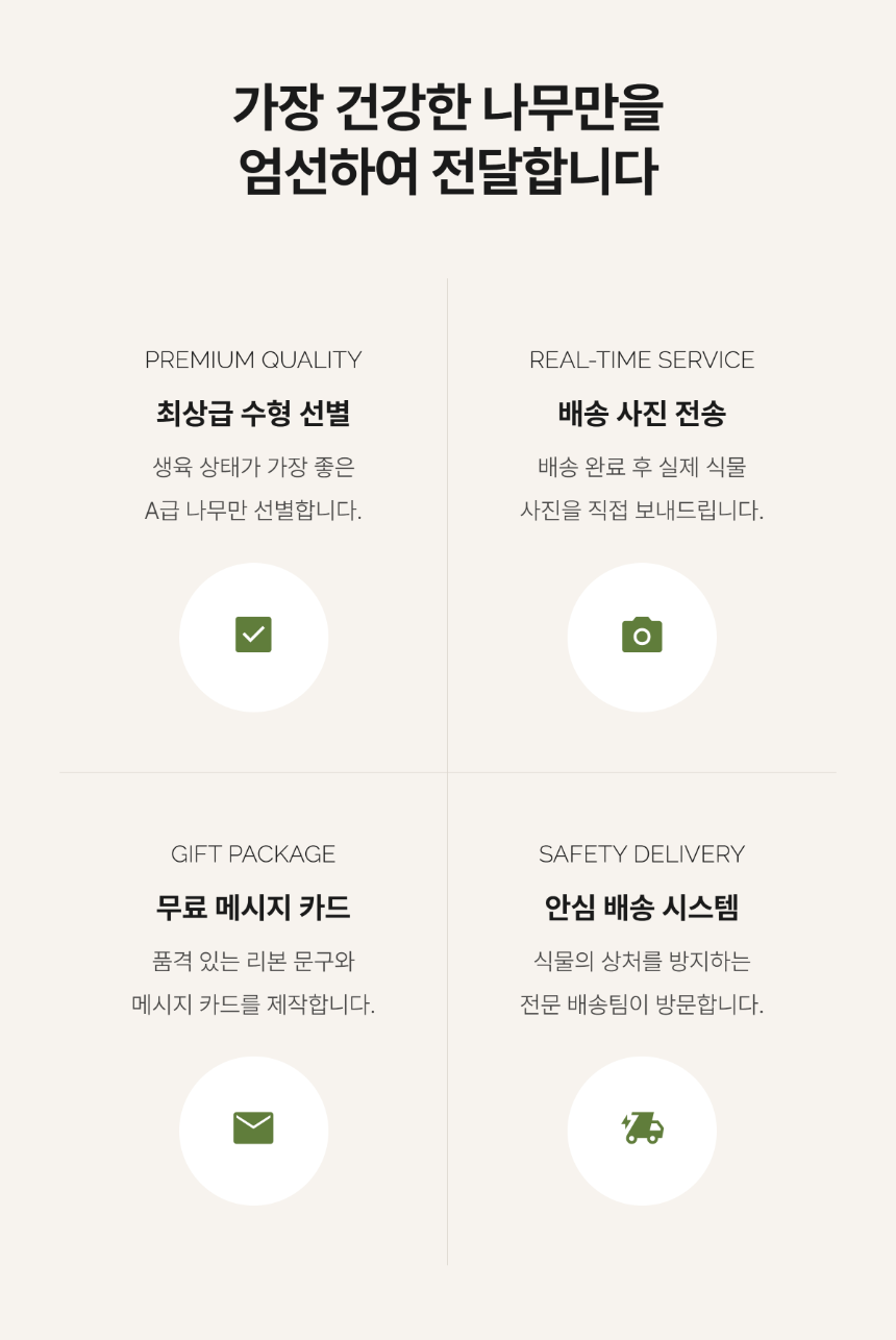 section-08 (1).png dd43b62a8c44902a09d68ec80453147b_1784622330_9797.png