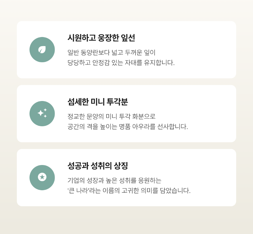 section-04.png 24e377748d8a61a89d688908705be3a1_1785581081_5132.png