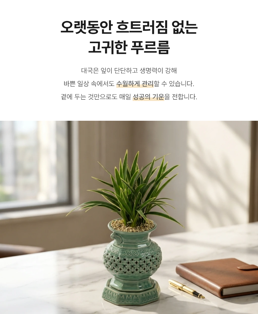 section-06.png 24e377748d8a61a89d688908705be3a1_1785581096_5913.png