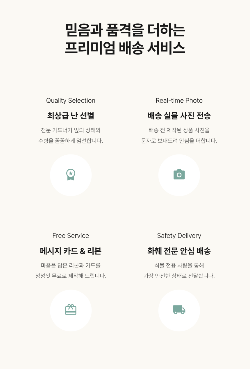 section-08.png 24e377748d8a61a89d688908705be3a1_1785581111_3499.png