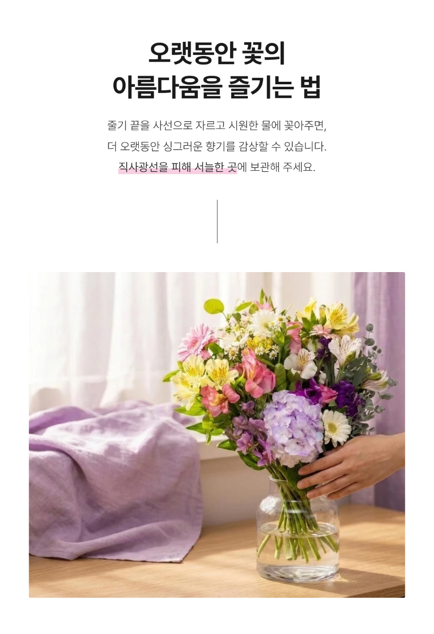 section-06.png a6fe87c6d9010a3c76e9c7c1b8bc418d_1785724616_5036.png