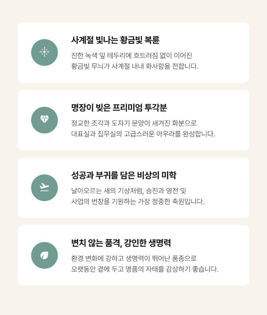 section-04.png ae9a2bad3e5d8b20dae2e5c62bed5f5e_1786263583_9712.png