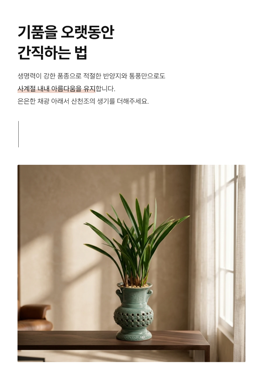 section-06.png ae9a2bad3e5d8b20dae2e5c62bed5f5e_1786263595_3063.png