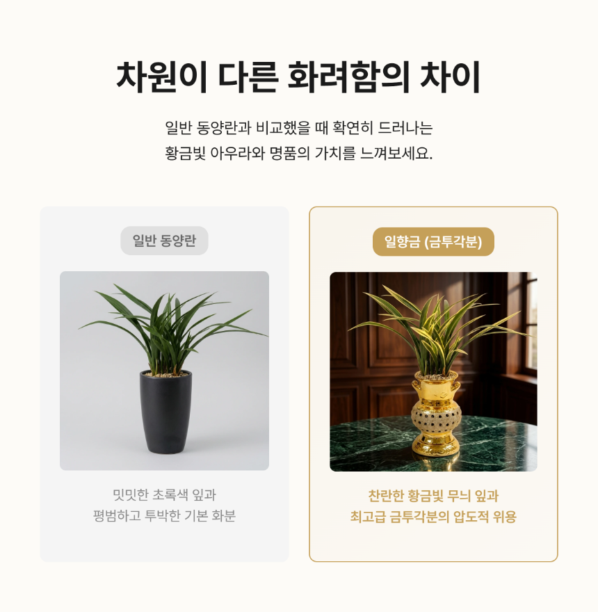 section-05.png ae9a2bad3e5d8b20dae2e5c62bed5f5e_1786265206_6938.png