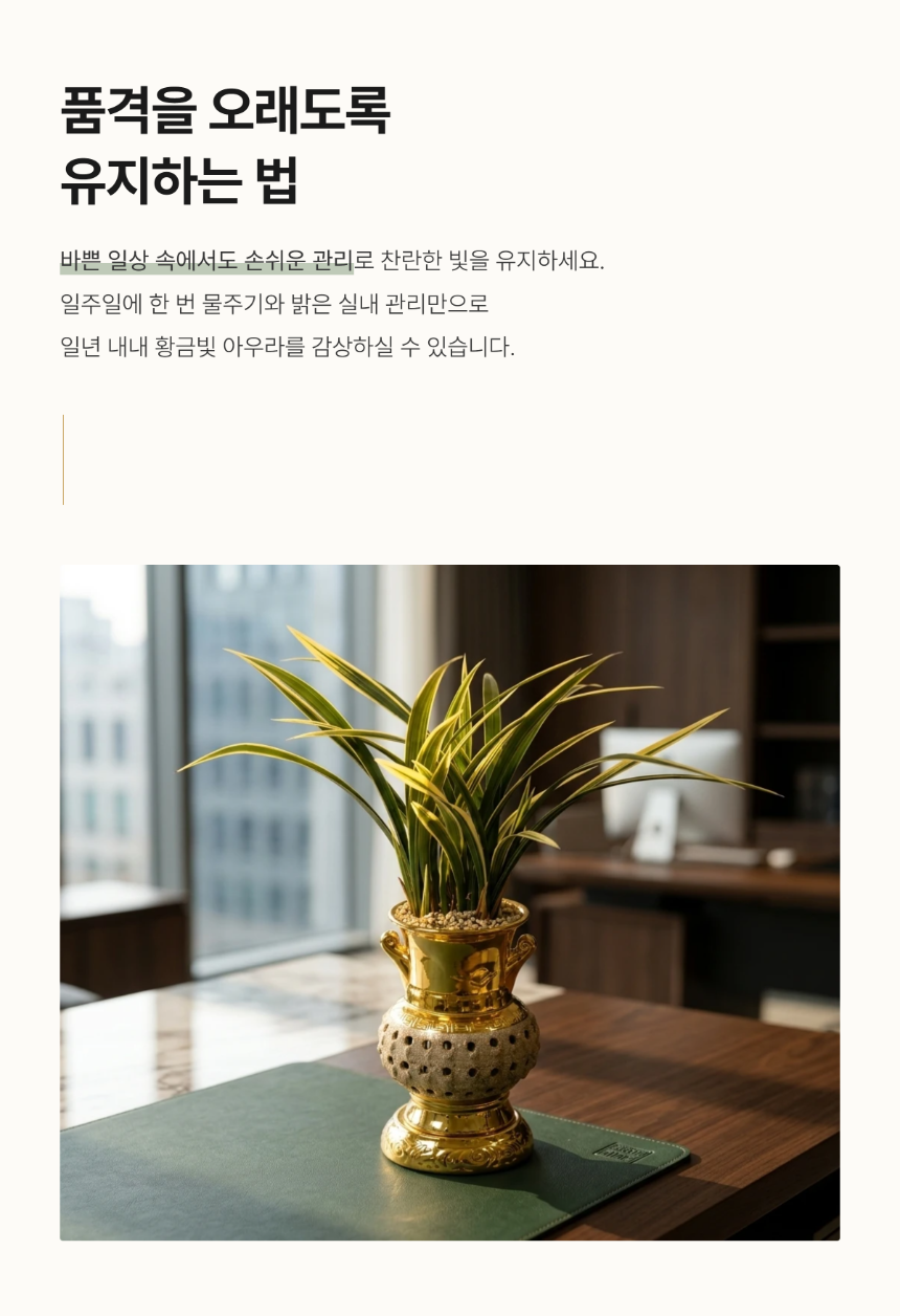 section-06.png ae9a2bad3e5d8b20dae2e5c62bed5f5e_1786265211_0169.png