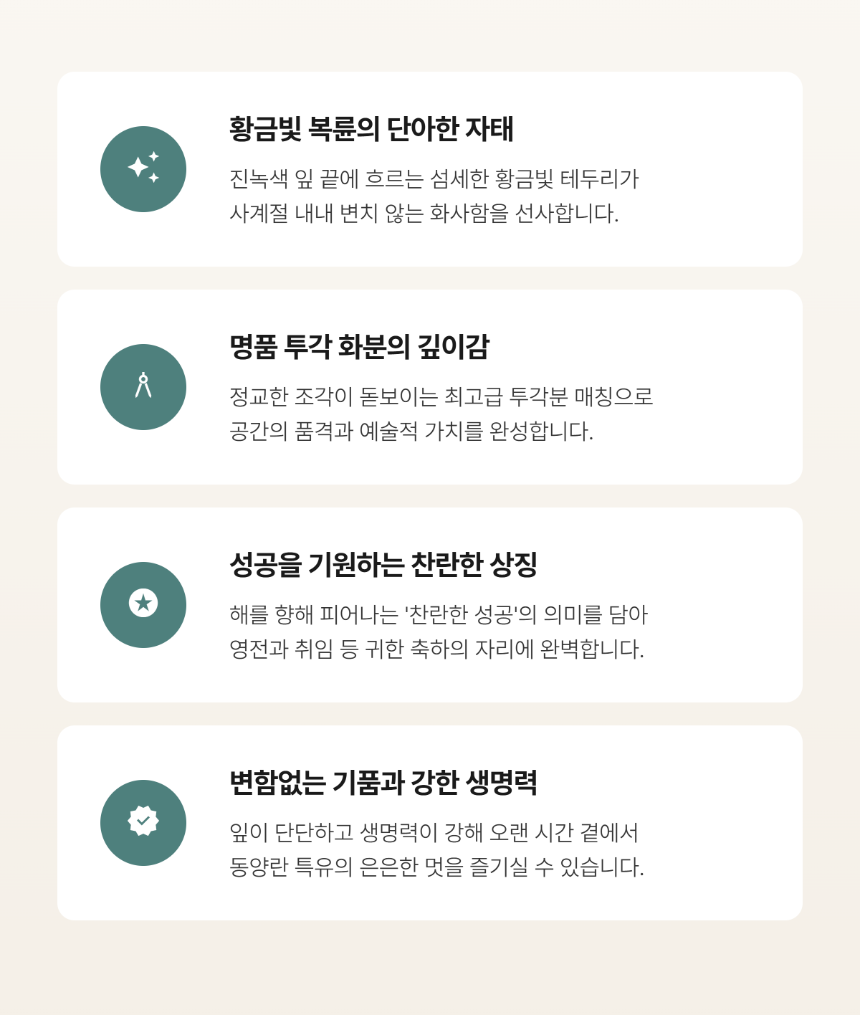 section-04.png ae9a2bad3e5d8b20dae2e5c62bed5f5e_1786265377_7155.png