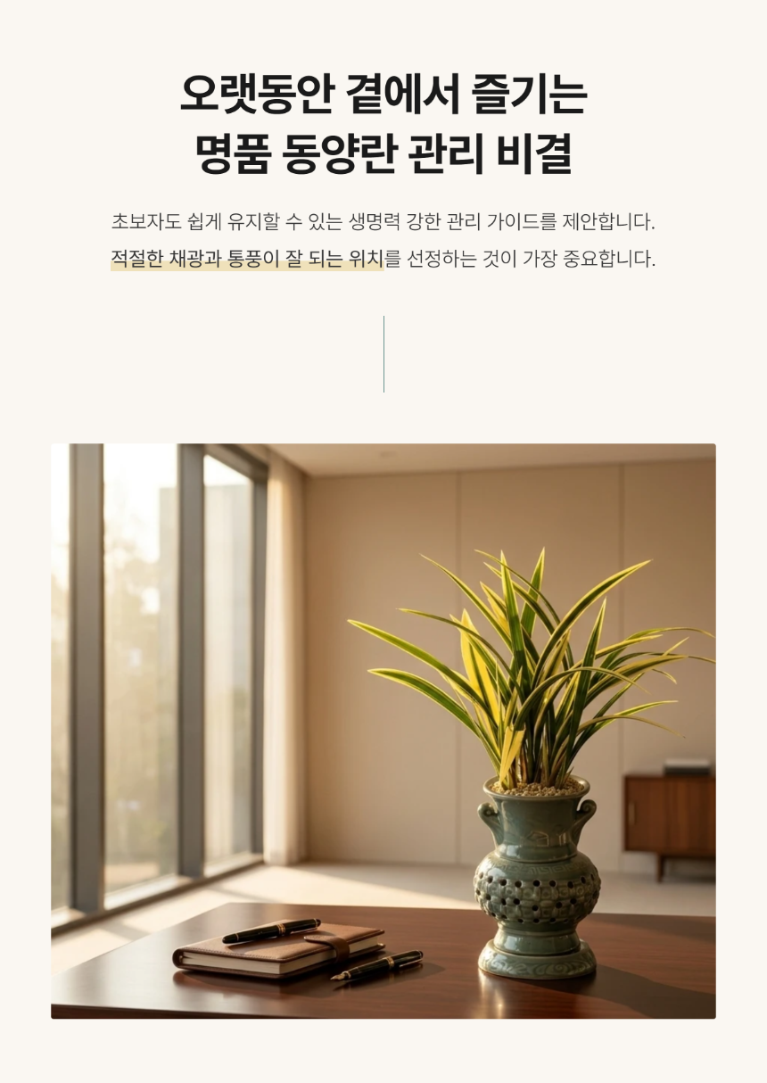 section-06.png ae9a2bad3e5d8b20dae2e5c62bed5f5e_1786265386_9045.png