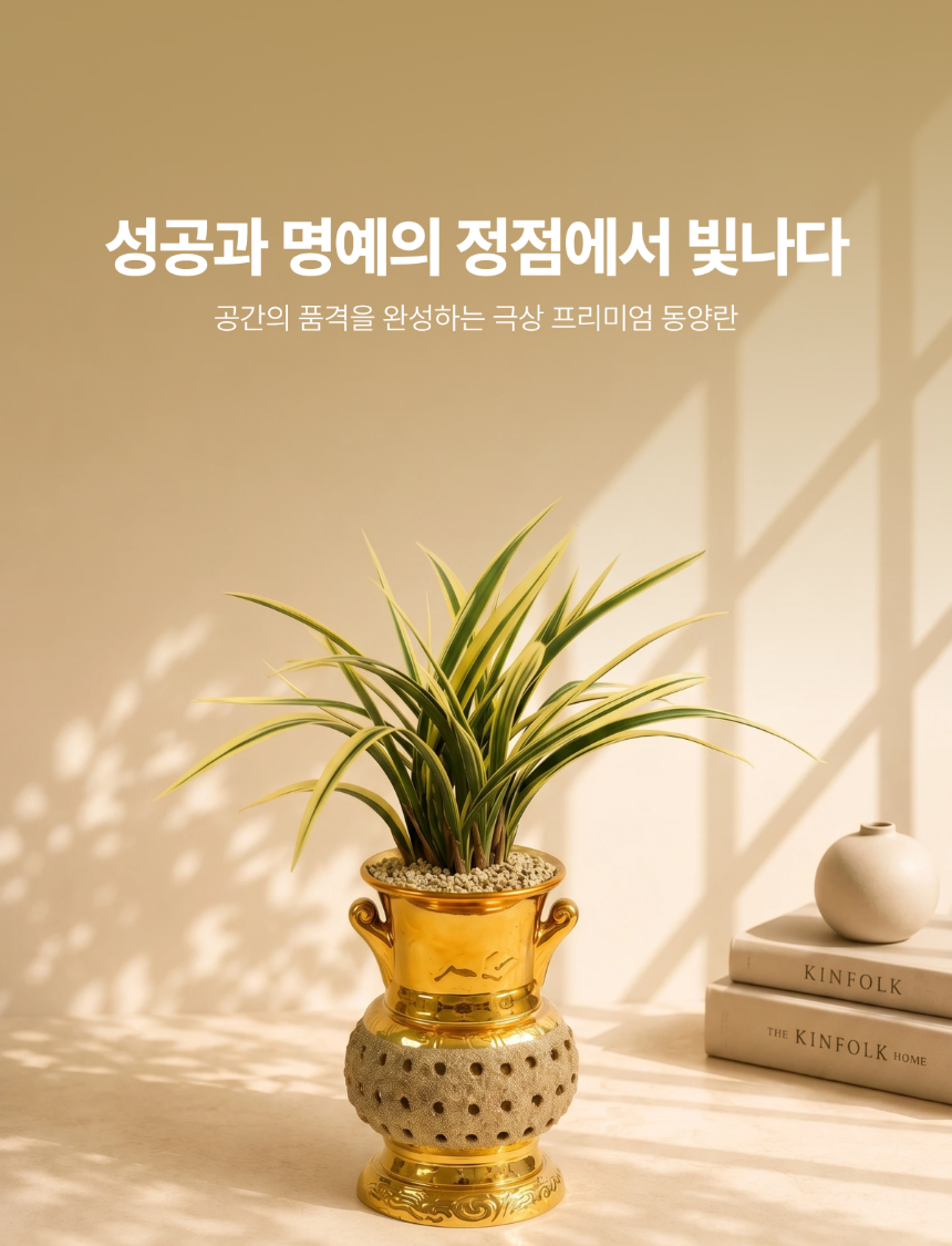 section-01.png ae9a2bad3e5d8b20dae2e5c62bed5f5e_1786266784_3924.png