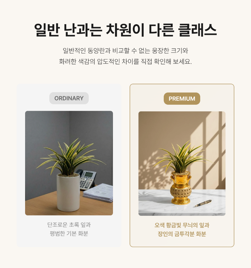 section-05.png ae9a2bad3e5d8b20dae2e5c62bed5f5e_1786266801_3553.png