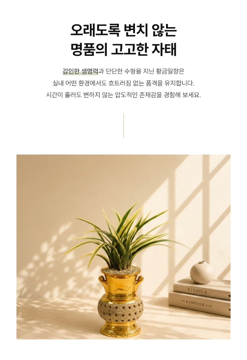 section-06.png ae9a2bad3e5d8b20dae2e5c62bed5f5e_1786266806_107.png