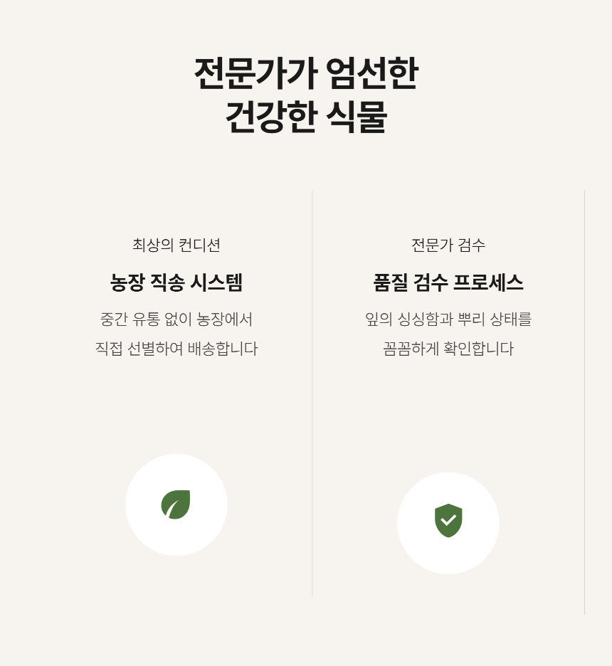 section-08.png b84ca350f2b43a8c3744a49c27db31e0_1787878388_2532.png