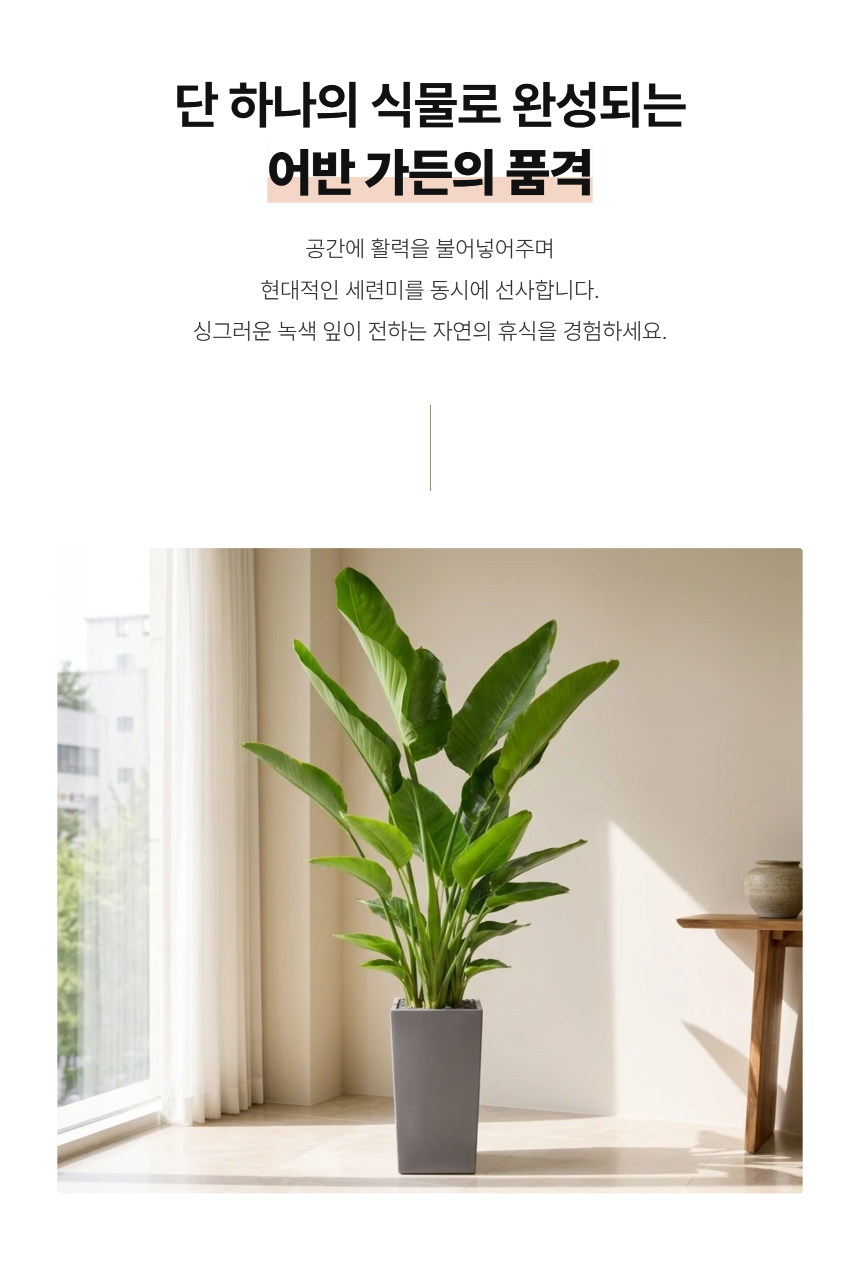 section-03.png b84ca350f2b43a8c3744a49c27db31e0_1787878388_2935.png