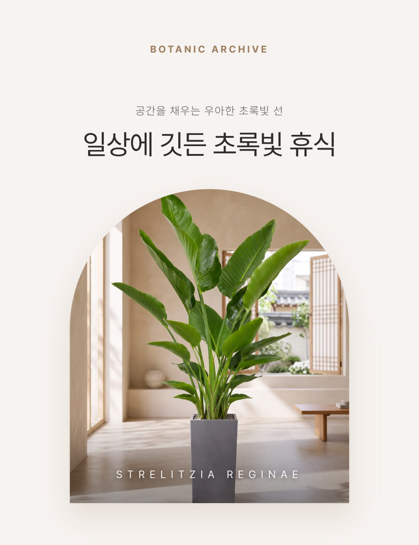 section-01.png b84ca350f2b43a8c3744a49c27db31e0_1787878388_3015.png