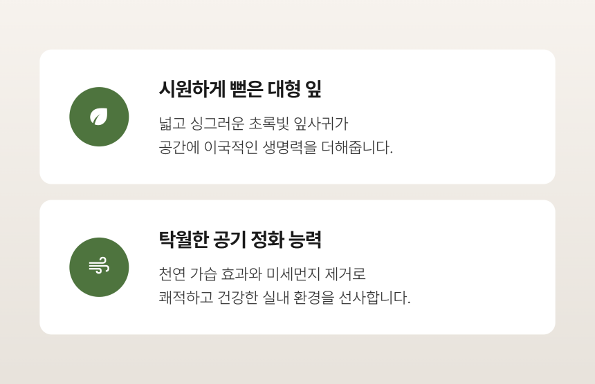 section-04.png b84ca350f2b43a8c3744a49c27db31e0_1787878388_3311.png