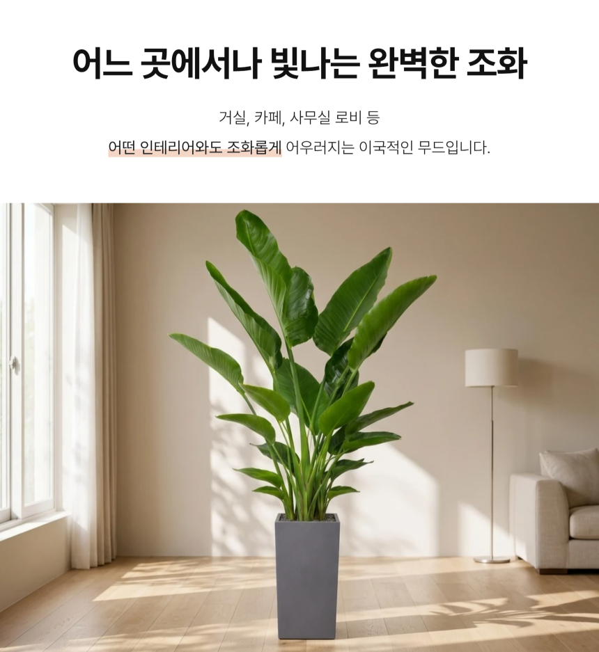 section-06.png b84ca350f2b43a8c3744a49c27db31e0_1787878388_3395.png