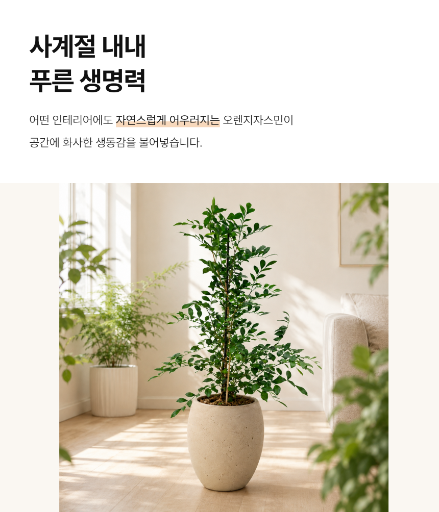 section-03.png b84ca350f2b43a8c3744a49c27db31e0_1787879296_0278.png