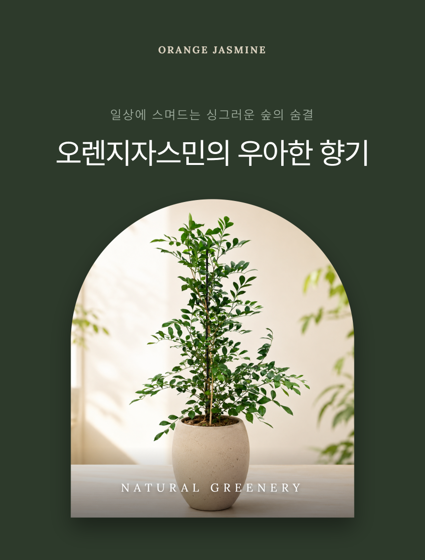 section-01.png b84ca350f2b43a8c3744a49c27db31e0_1787879296_0616.png