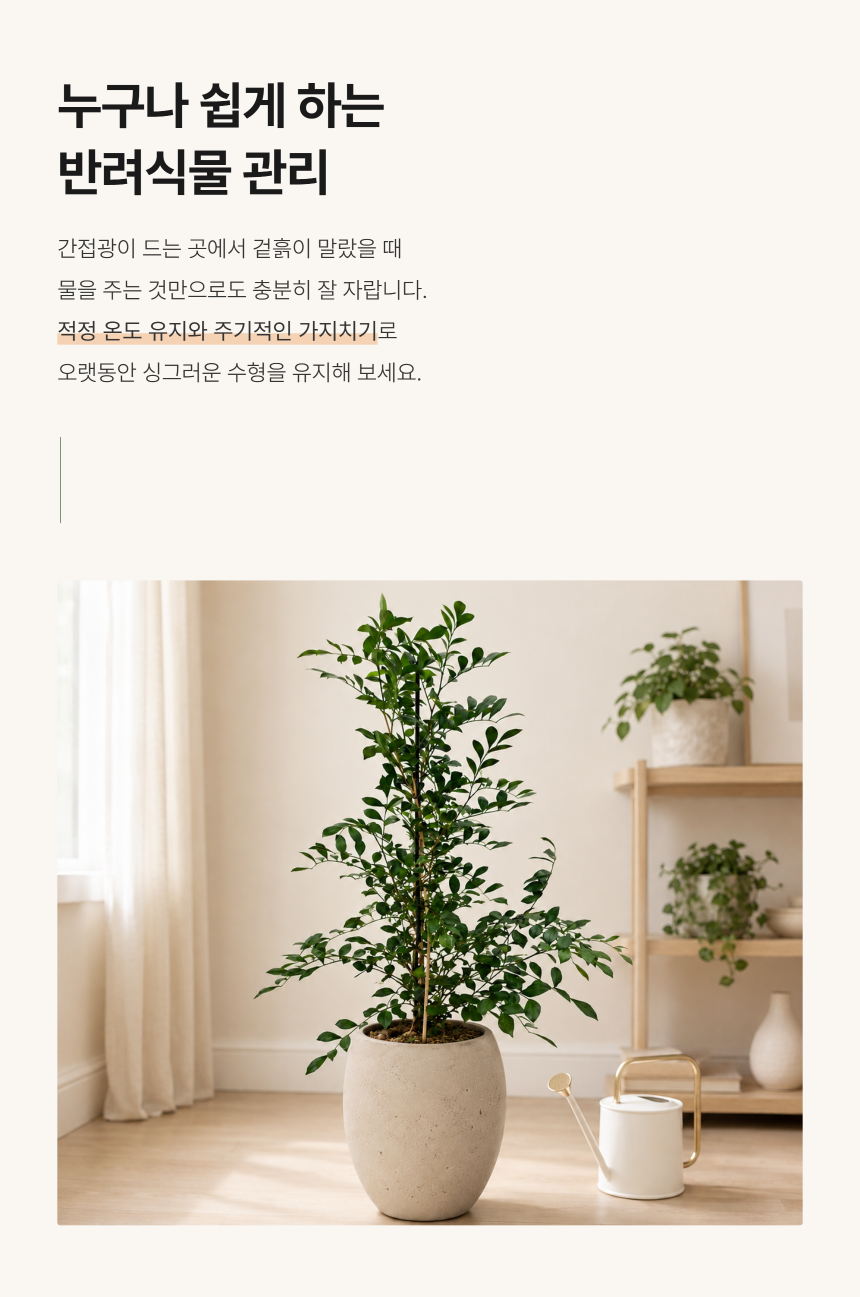 section-05.png b84ca350f2b43a8c3744a49c27db31e0_1787879296_092.png