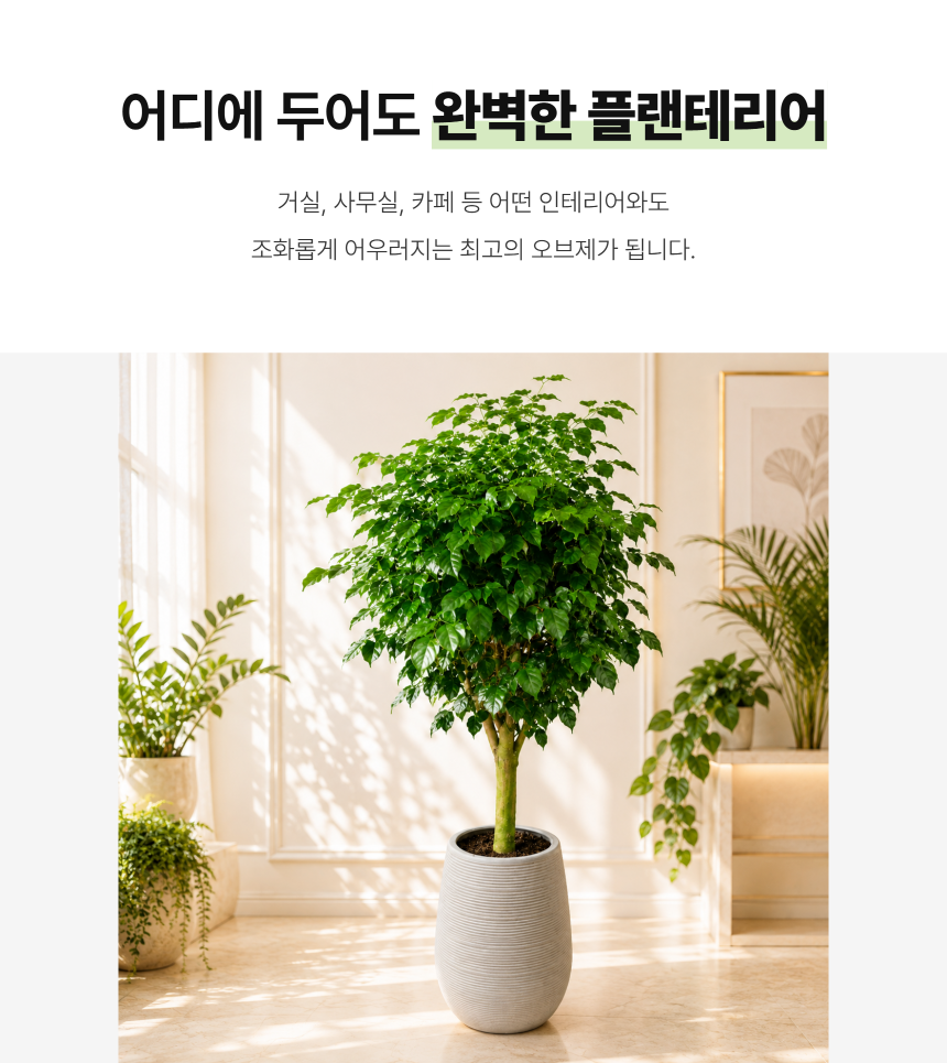 section-06.png b84ca350f2b43a8c3744a49c27db31e0_1787881050_1287.png
