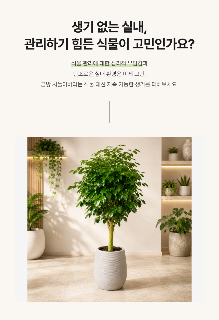 section-02.png b84ca350f2b43a8c3744a49c27db31e0_1787881050_3135.png