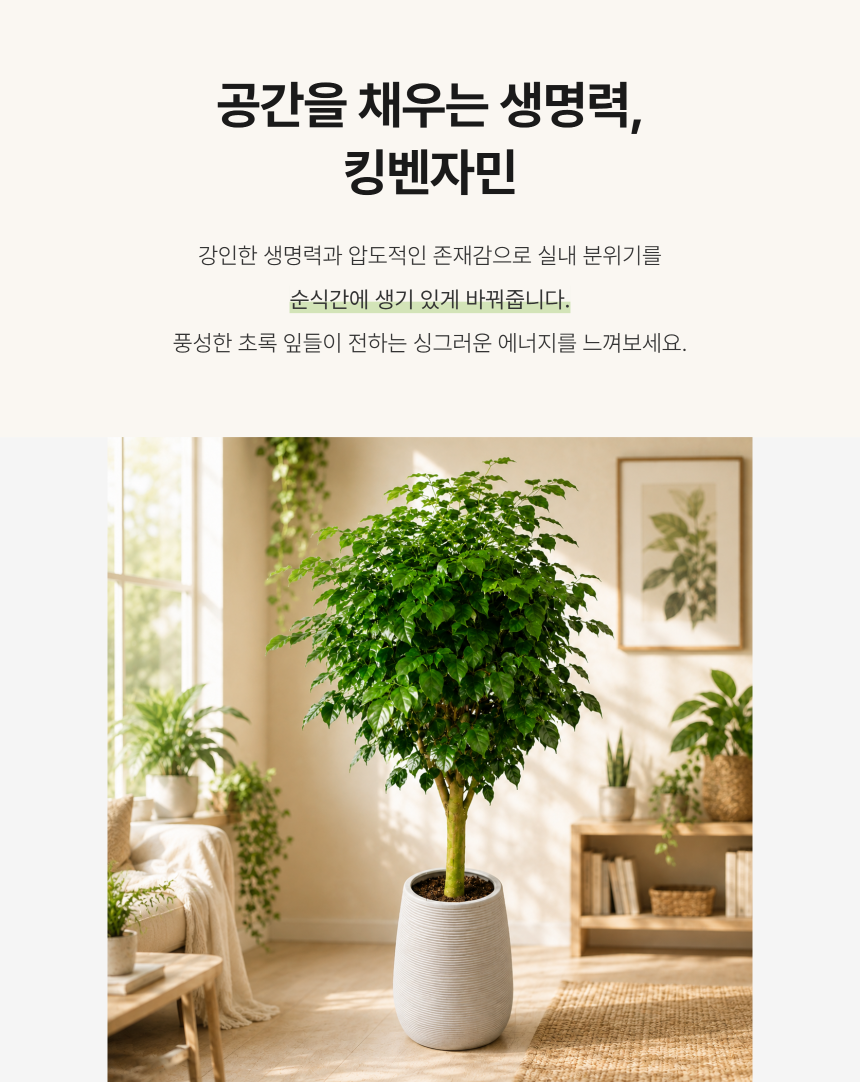 section-03.png b84ca350f2b43a8c3744a49c27db31e0_1787881050_3994.png