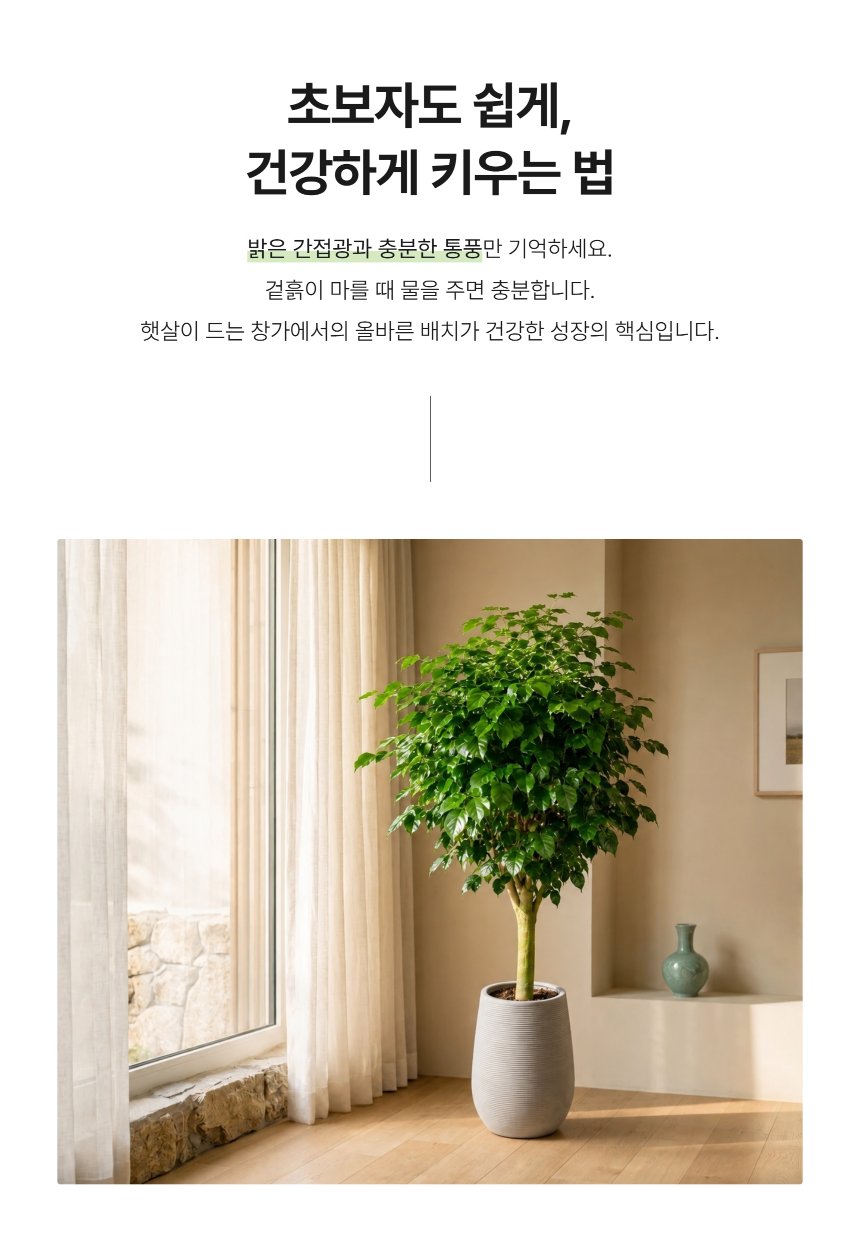 section-05.png b84ca350f2b43a8c3744a49c27db31e0_1787881050_4062.png