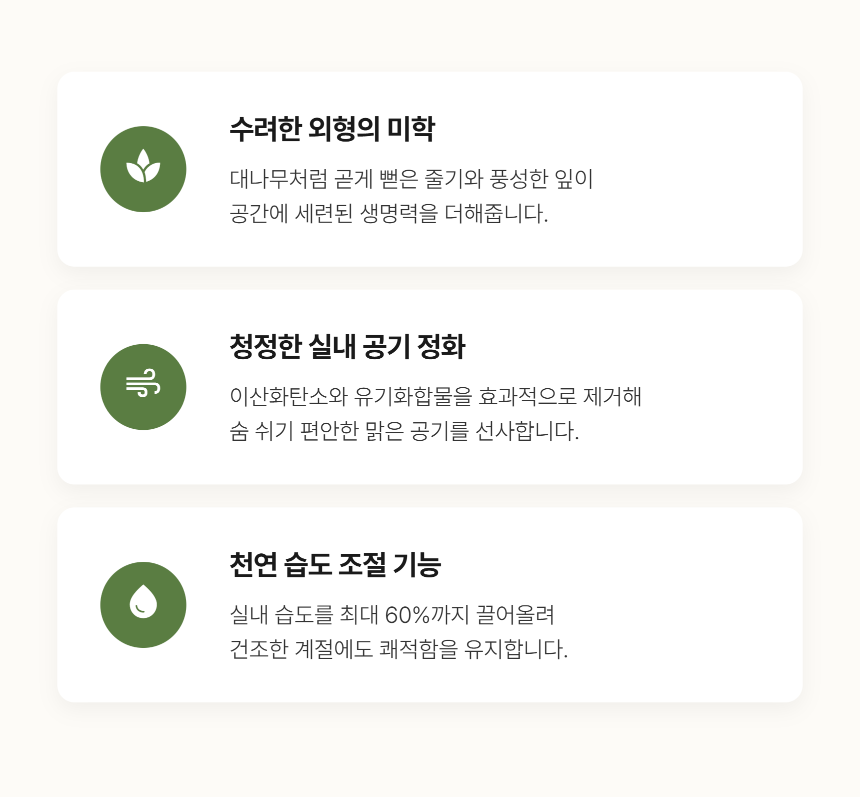 section-04.png b84ca350f2b43a8c3744a49c27db31e0_1787881587_7594.png