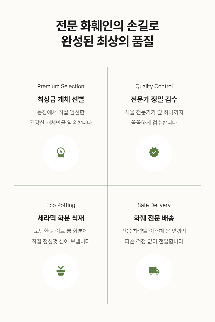 section-08.png b84ca350f2b43a8c3744a49c27db31e0_1787881587_7816.png